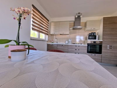 Apartment DANIJEL 1: