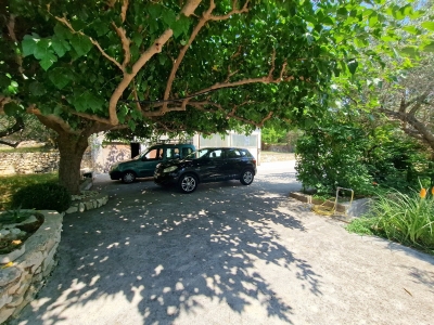 Apartment DANIJEL 1: