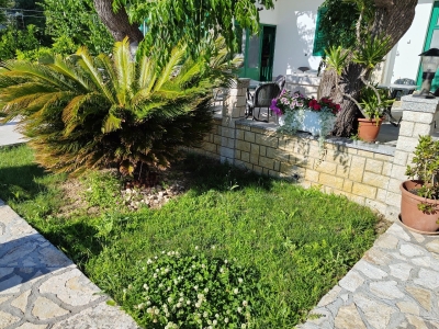 Apartman SANJA & BORO: