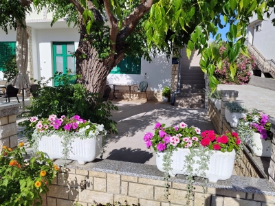 Apartman SANJA & BORO: